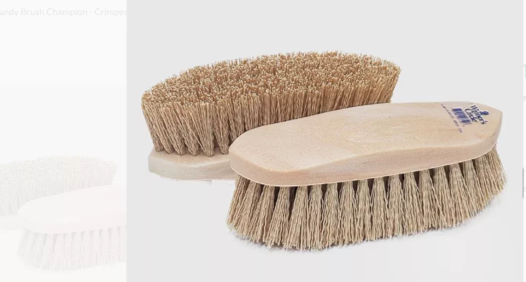 Winner's Circle Brush Water Brush 710