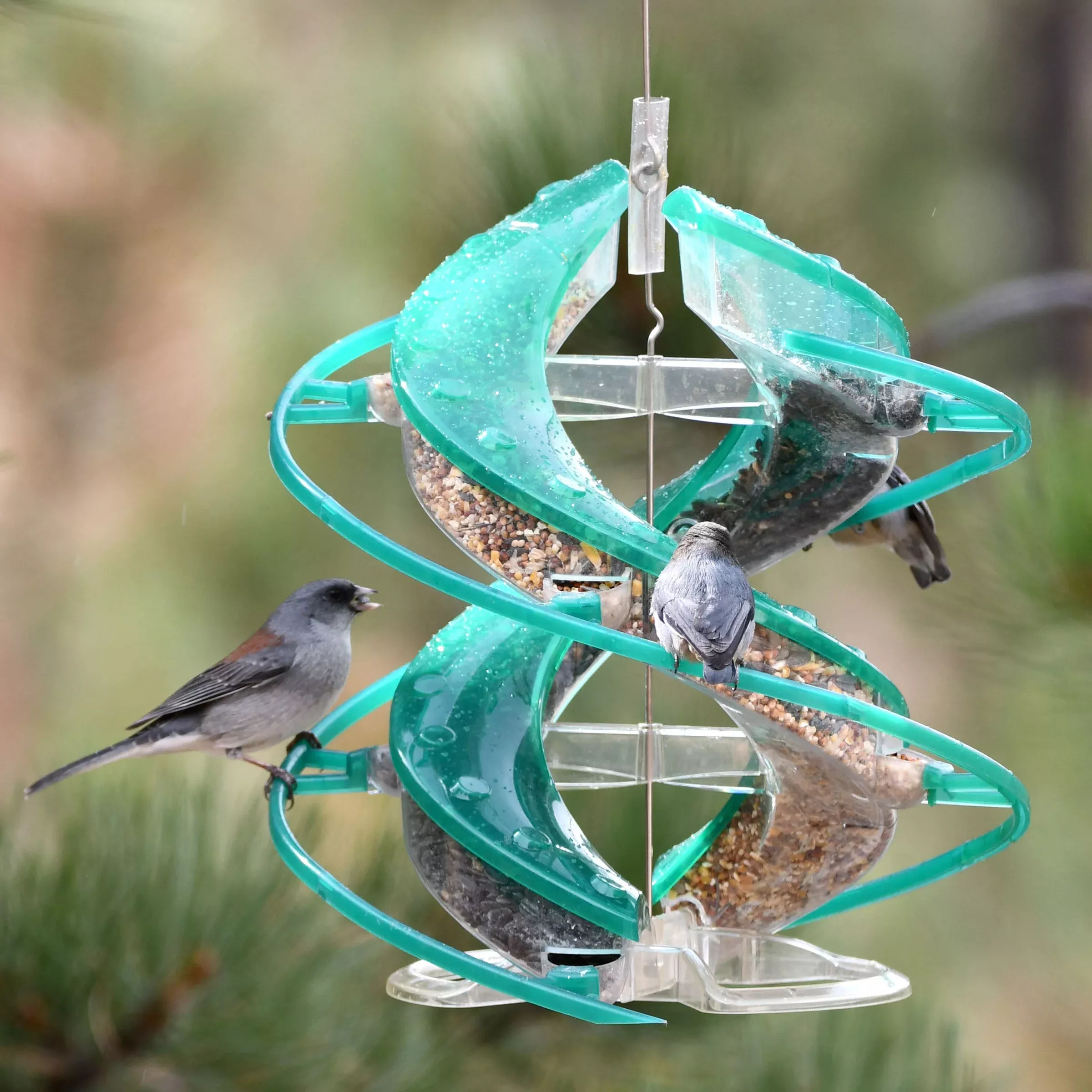 Woodlink Cascade DNA Songbird Seed Feeder, Green, 2 lb Capacity