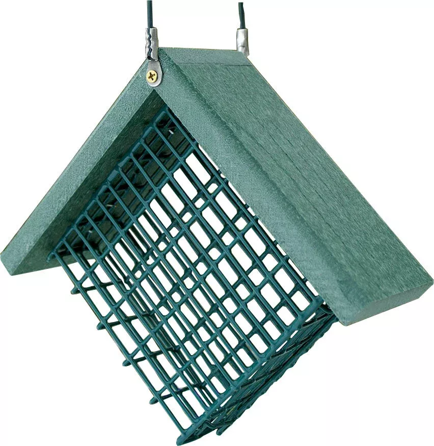 Woodlink Going Green Suet Feeder, 1-Cake Capacity, Green