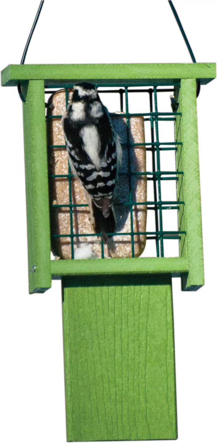 Woodlink Going Green Tail-Prop Suet Feeder, 1-Cake Capacity, Green