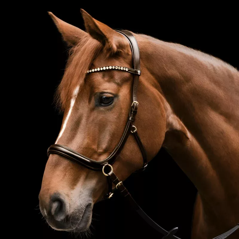 X-Line Bitless Bridle Sensation