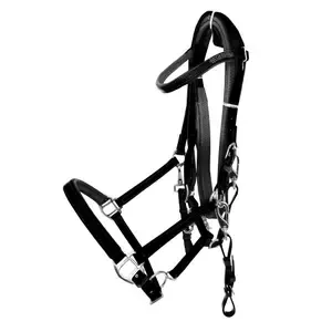 ZaldiHorse Riding Bridle Raid Endurance AZBT 790